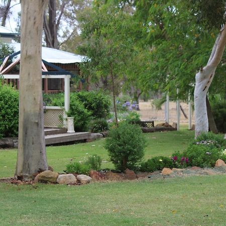 Rosebank Homestead&Farmstay Dalby Bagian luar foto