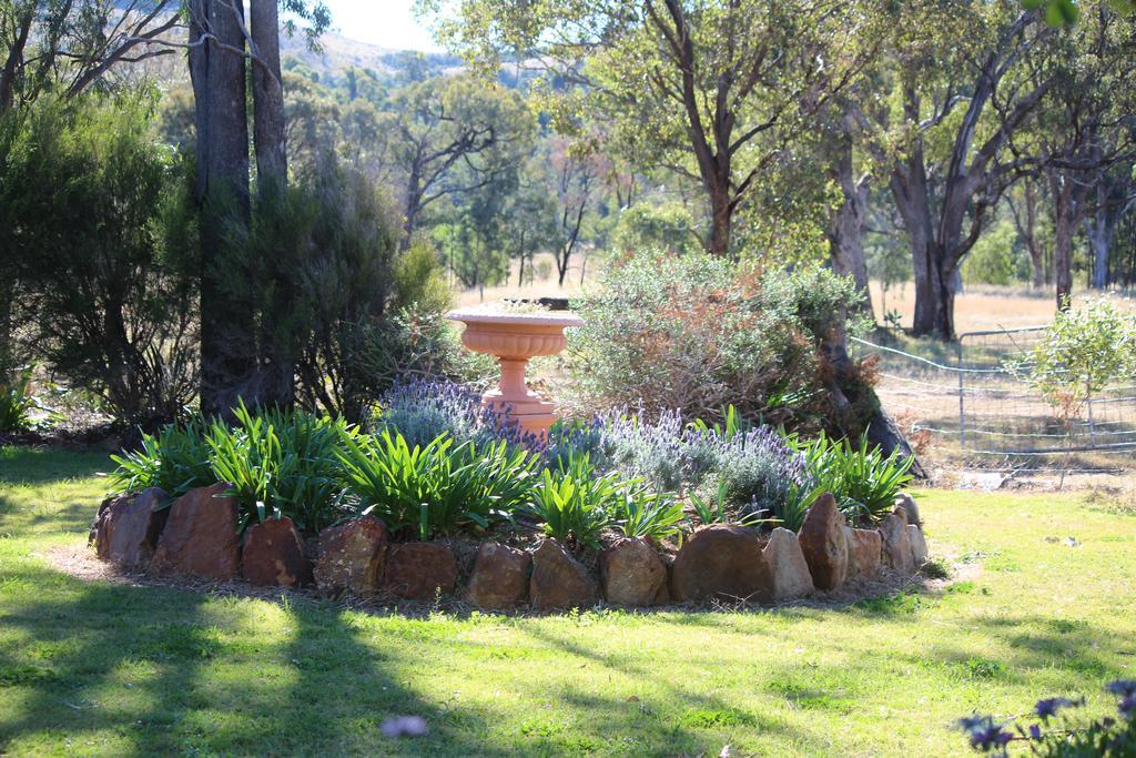 Rosebank Homestead&Farmstay Dalby Bagian luar foto