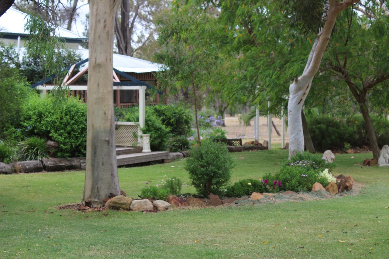 Rosebank Homestead&Farmstay Dalby Bagian luar foto
